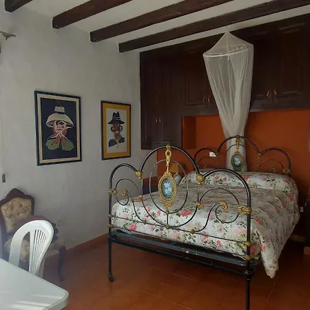 David Galdar Las Palmas de Gran Canaria